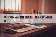 满16周岁的小额正规贷款（满十六岁小额贷款）